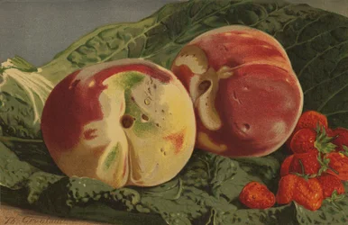 Peaches and Strawberries